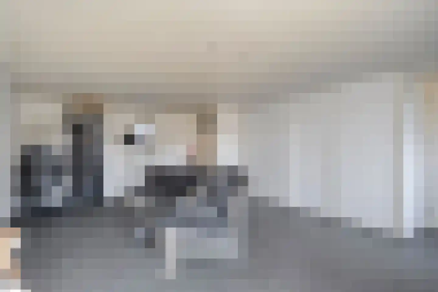 Rollepaal 36 Dedemsvaart thumbnail 17