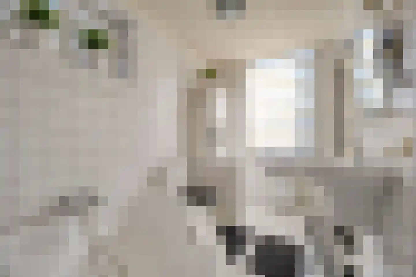Rollepaal 36 Dedemsvaart thumbnail 20