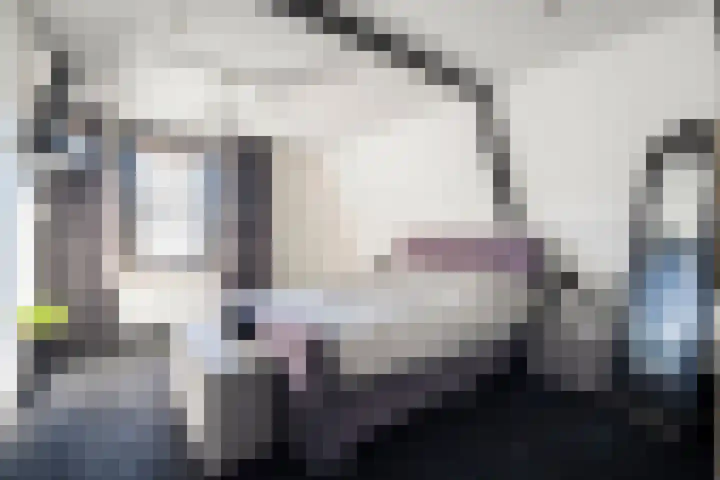 Rollepaal 36 Dedemsvaart thumbnail 22