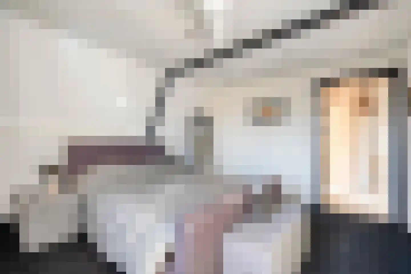 Rollepaal 36 Dedemsvaart thumbnail 23