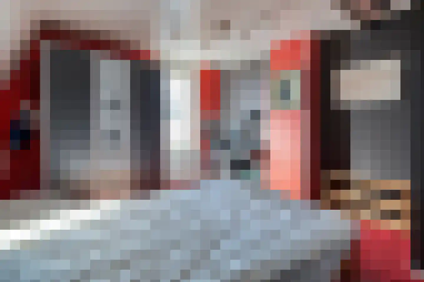 Rollepaal 36 Dedemsvaart thumbnail 24