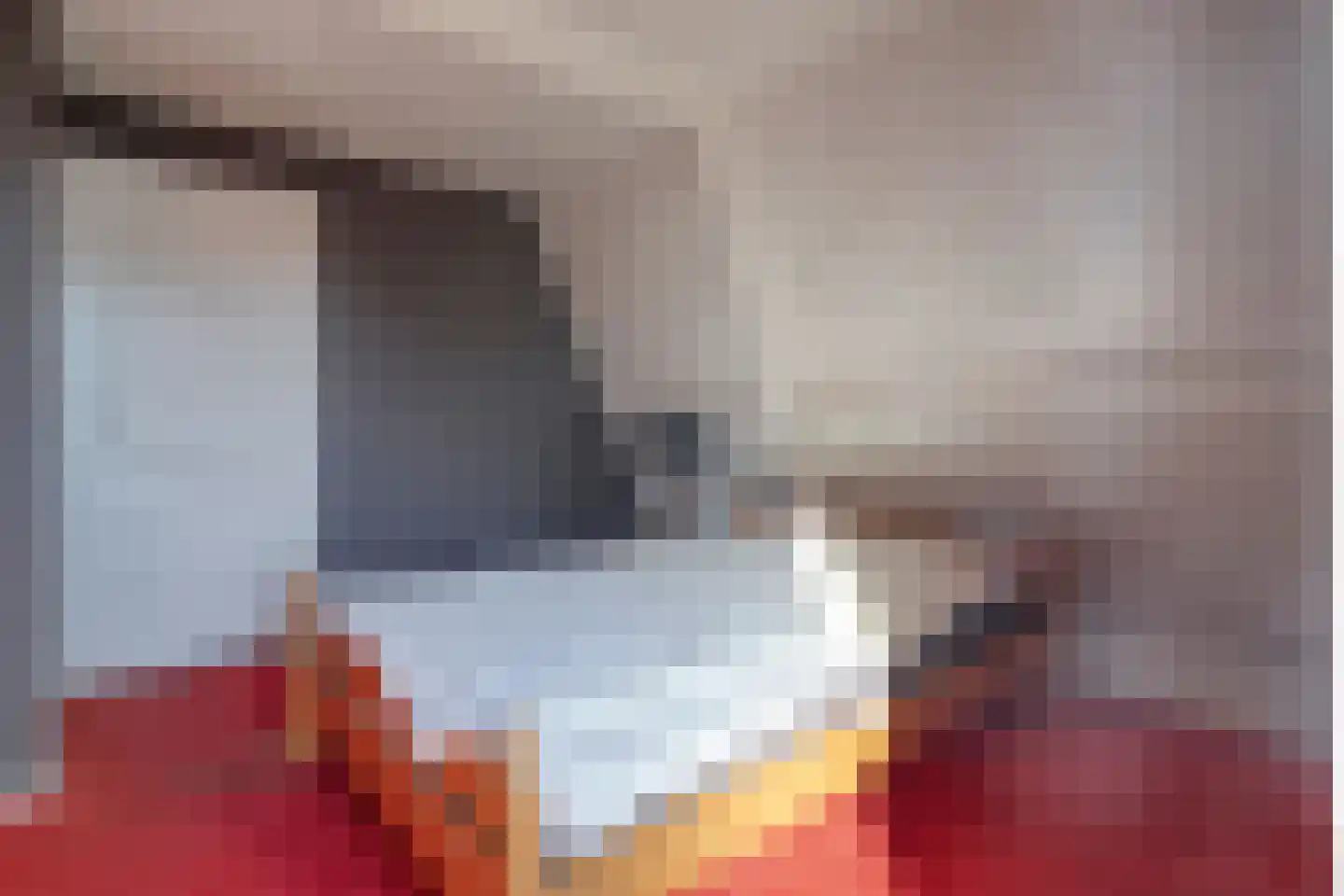 Rollepaal 36 Dedemsvaart thumbnail 25