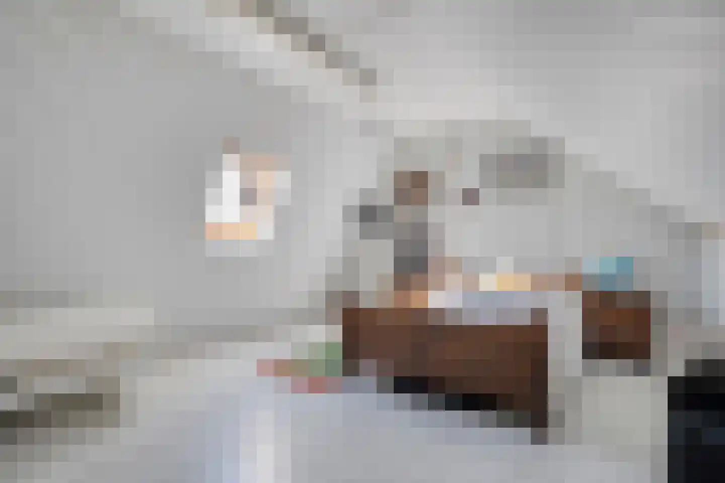 Rollepaal 36 Dedemsvaart thumbnail 26