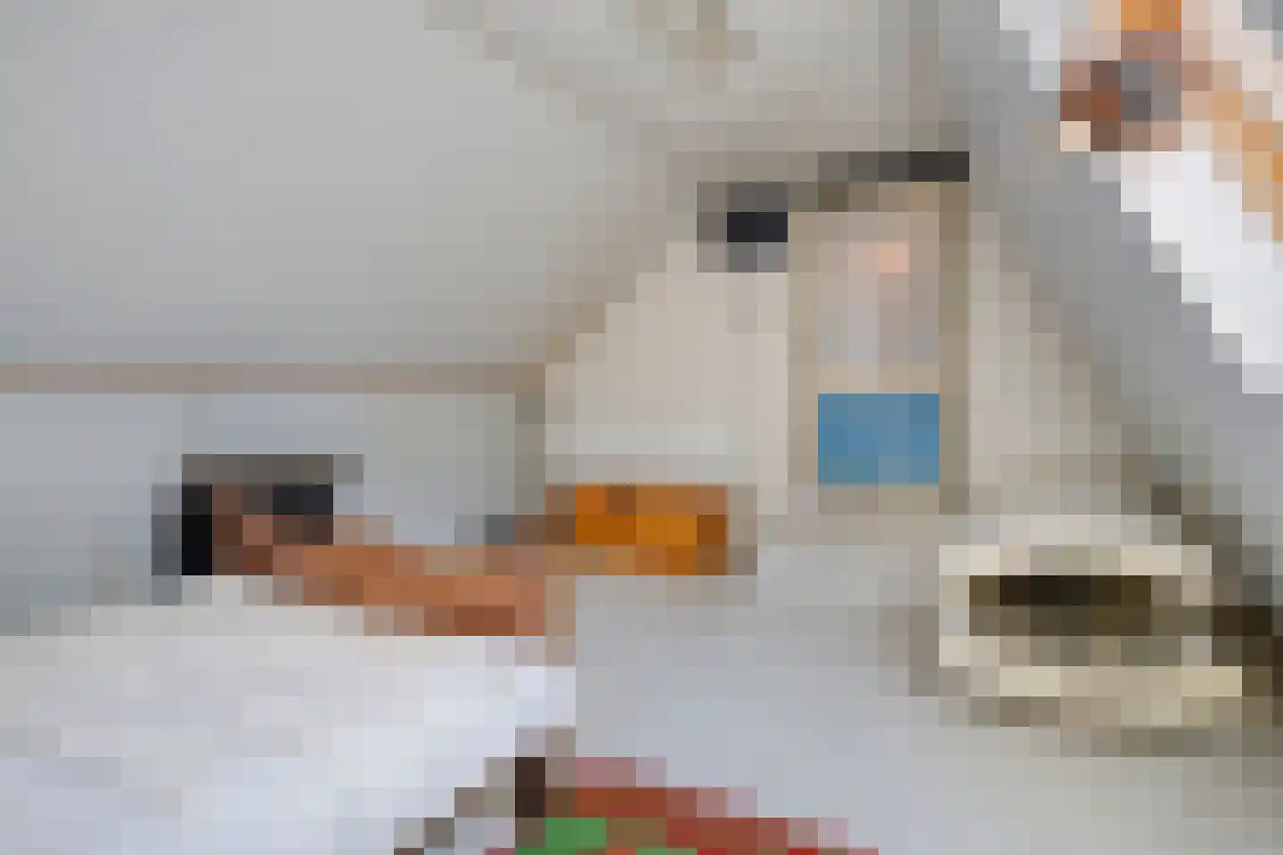 Rollepaal 36 Dedemsvaart thumbnail 27