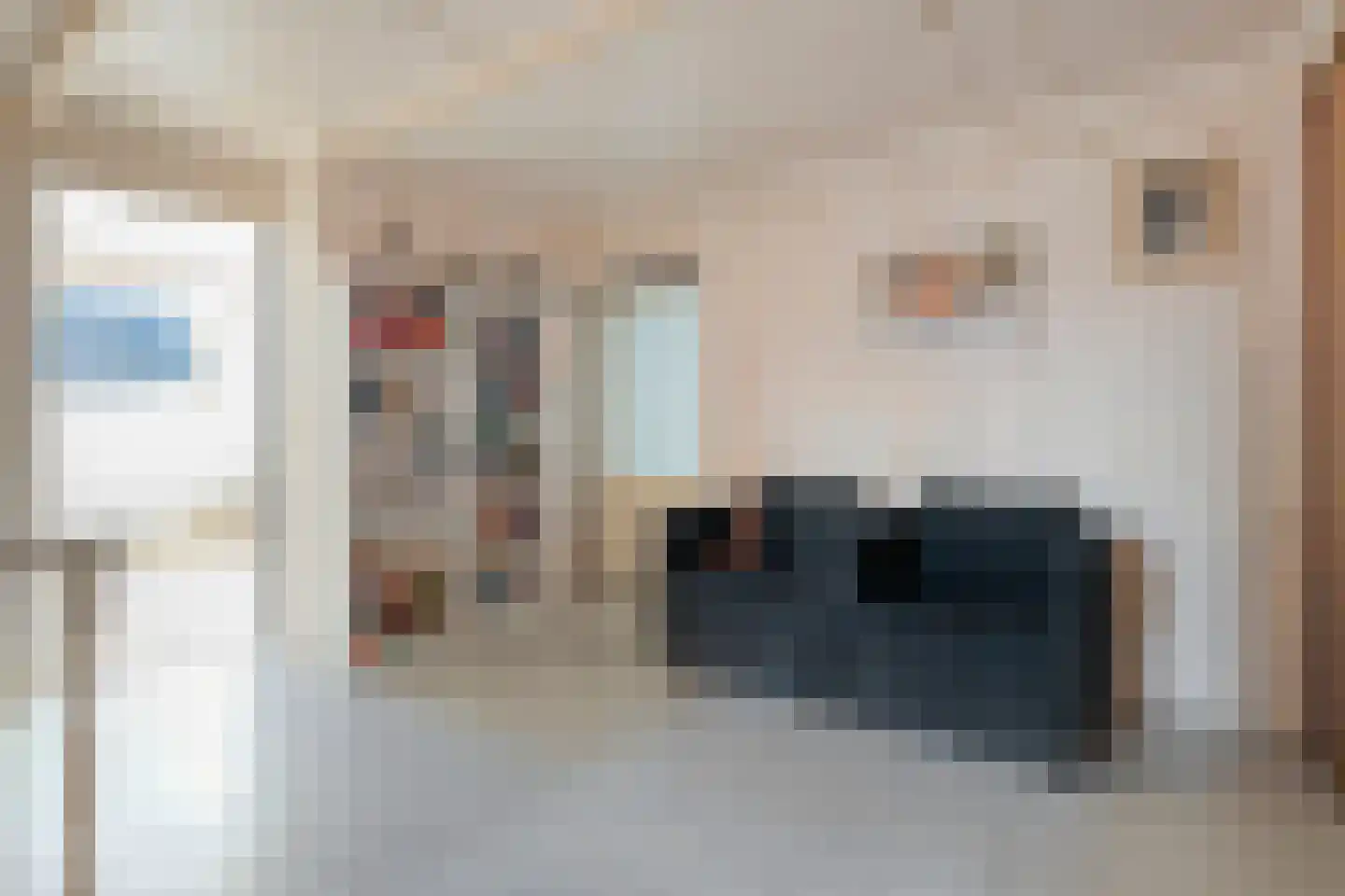 Rollepaal 36 Dedemsvaart thumbnail 30