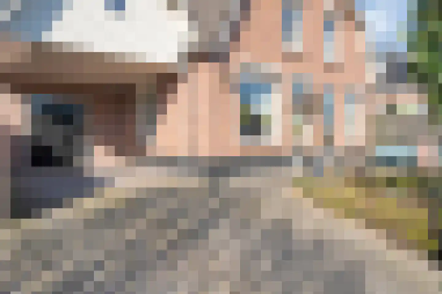 Rollepaal 36 Dedemsvaart thumbnail 33