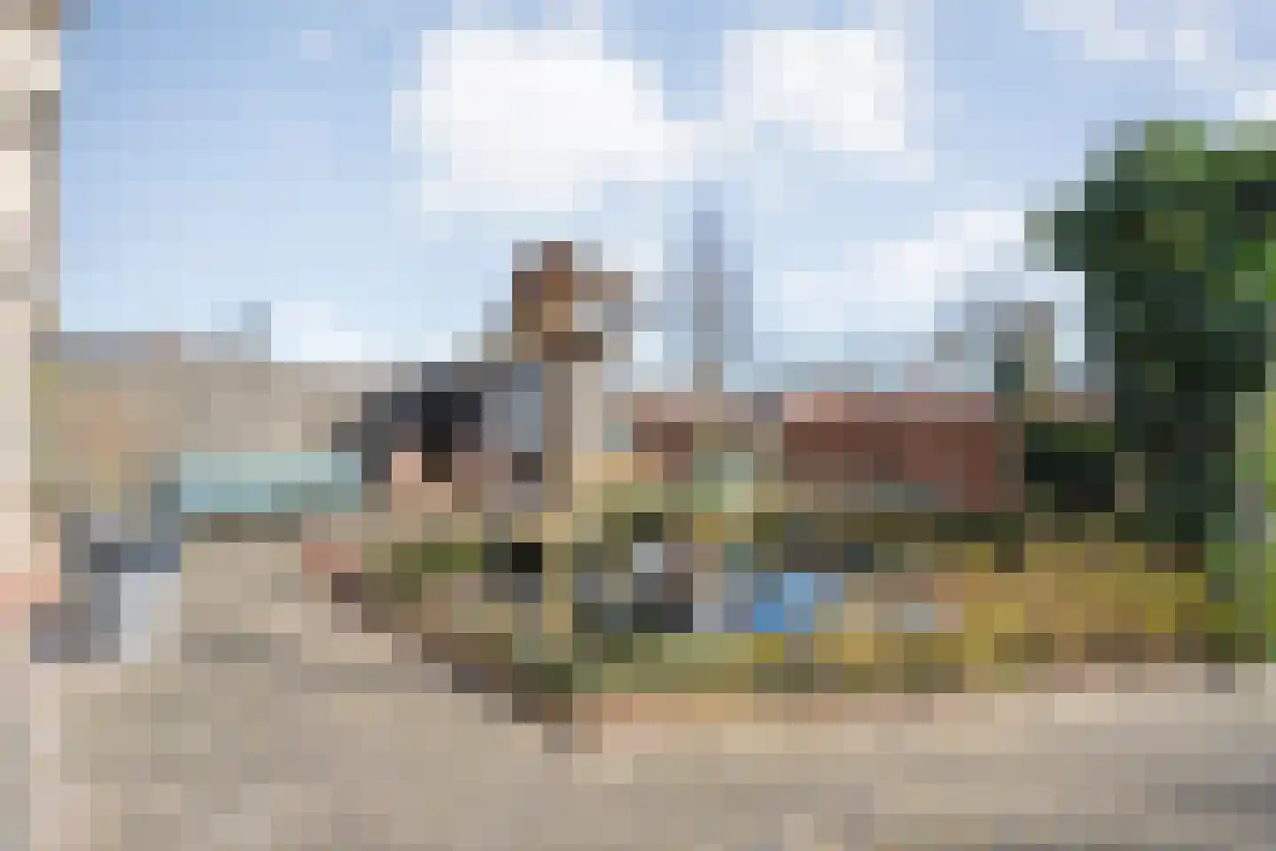 Rollepaal 36 Dedemsvaart thumbnail 35