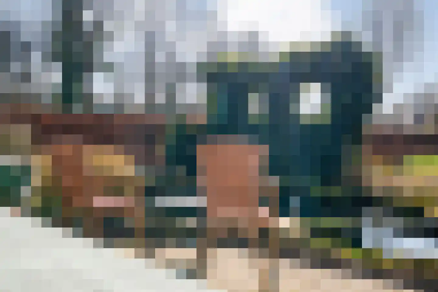 Rollepaal 36 Dedemsvaart thumbnail 37
