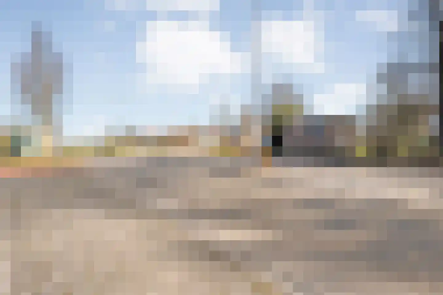Rollepaal 36 Dedemsvaart thumbnail 38