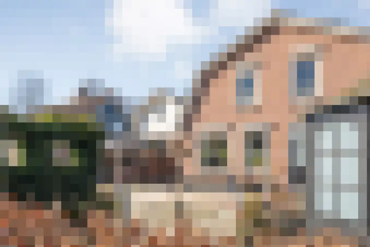 Rollepaal 36 Dedemsvaart thumbnail 5