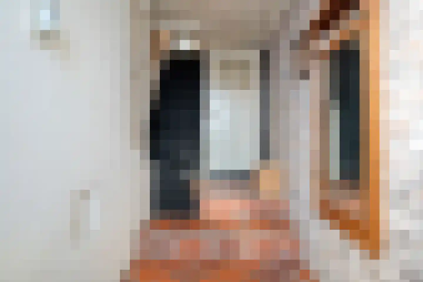 Rollepaal 36 Dedemsvaart thumbnail 6