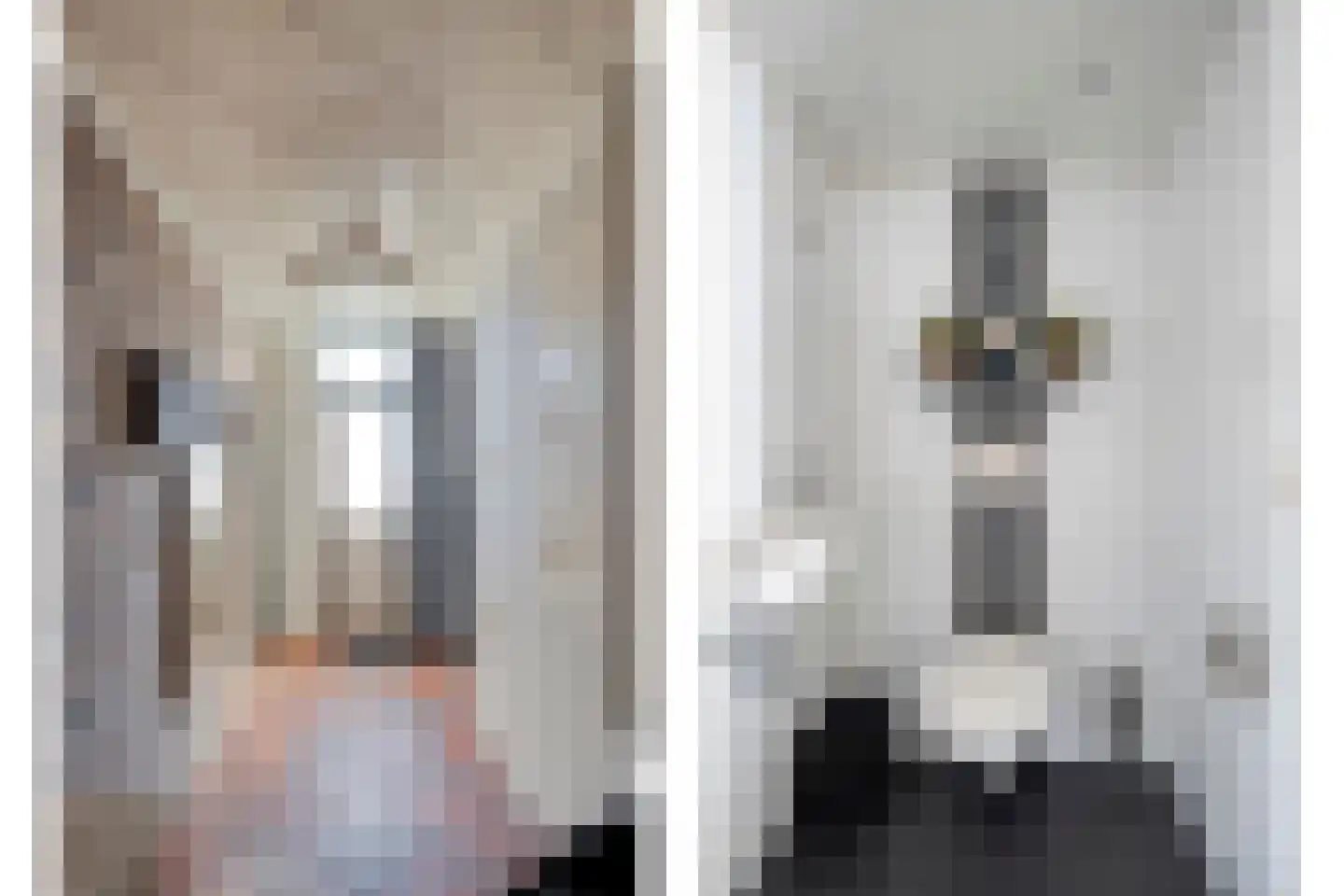 Rollepaal 36 Dedemsvaart thumbnail 7