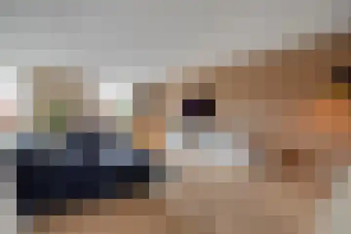 Rollepaalstraat 1 Zwolle thumbnail 15