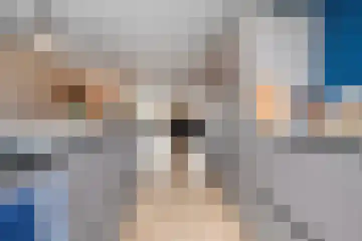 Rollepaalstraat 1 Zwolle thumbnail 21