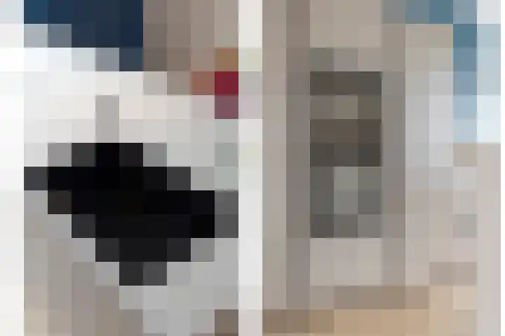 Rollepaalstraat 1 Zwolle thumbnail 22