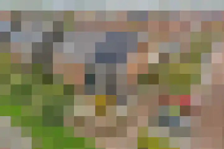 Rollepaalstraat 1 Zwolle thumbnail 4