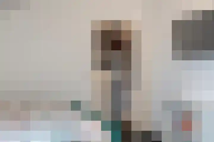 Rollepaalstraat 1 Zwolle thumbnail 41