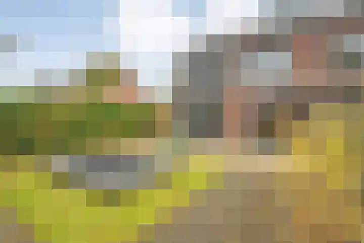 Rollepaalstraat 1 Zwolle thumbnail 44