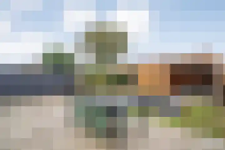 Rollepaalstraat 1 Zwolle thumbnail 47