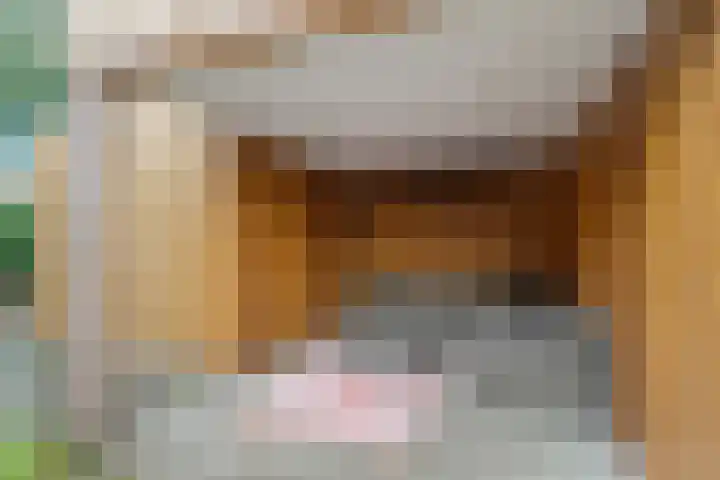 Rollepaalstraat 1 Zwolle thumbnail 48