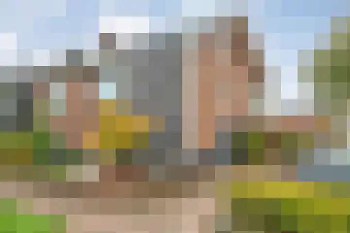 Rollepaalstraat 1 Zwolle thumbnail 8