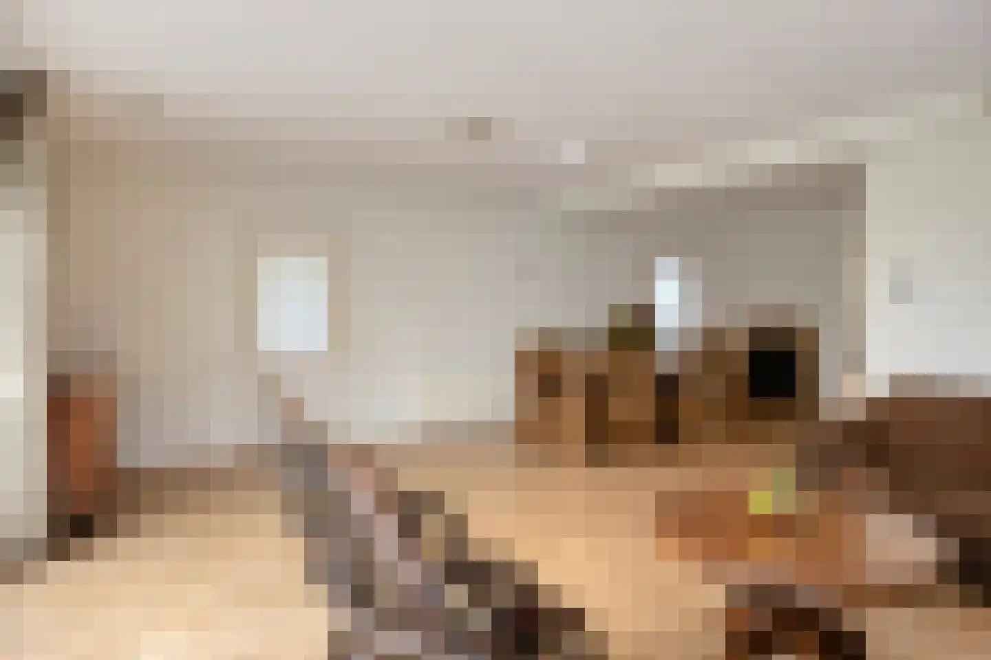 Rollestraat 10 Wapse thumbnail 16