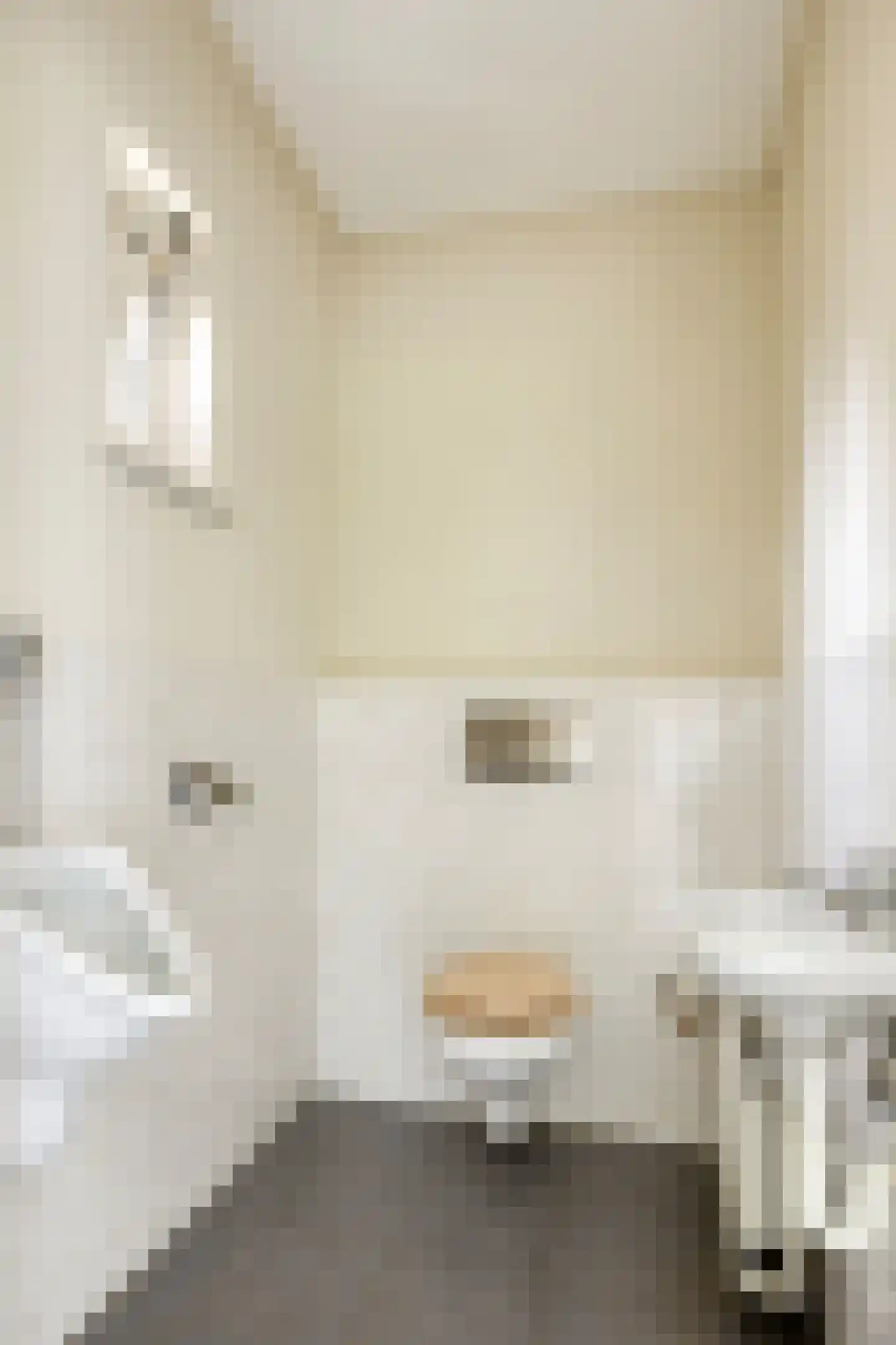Rollestraat 10 Wapse thumbnail 19