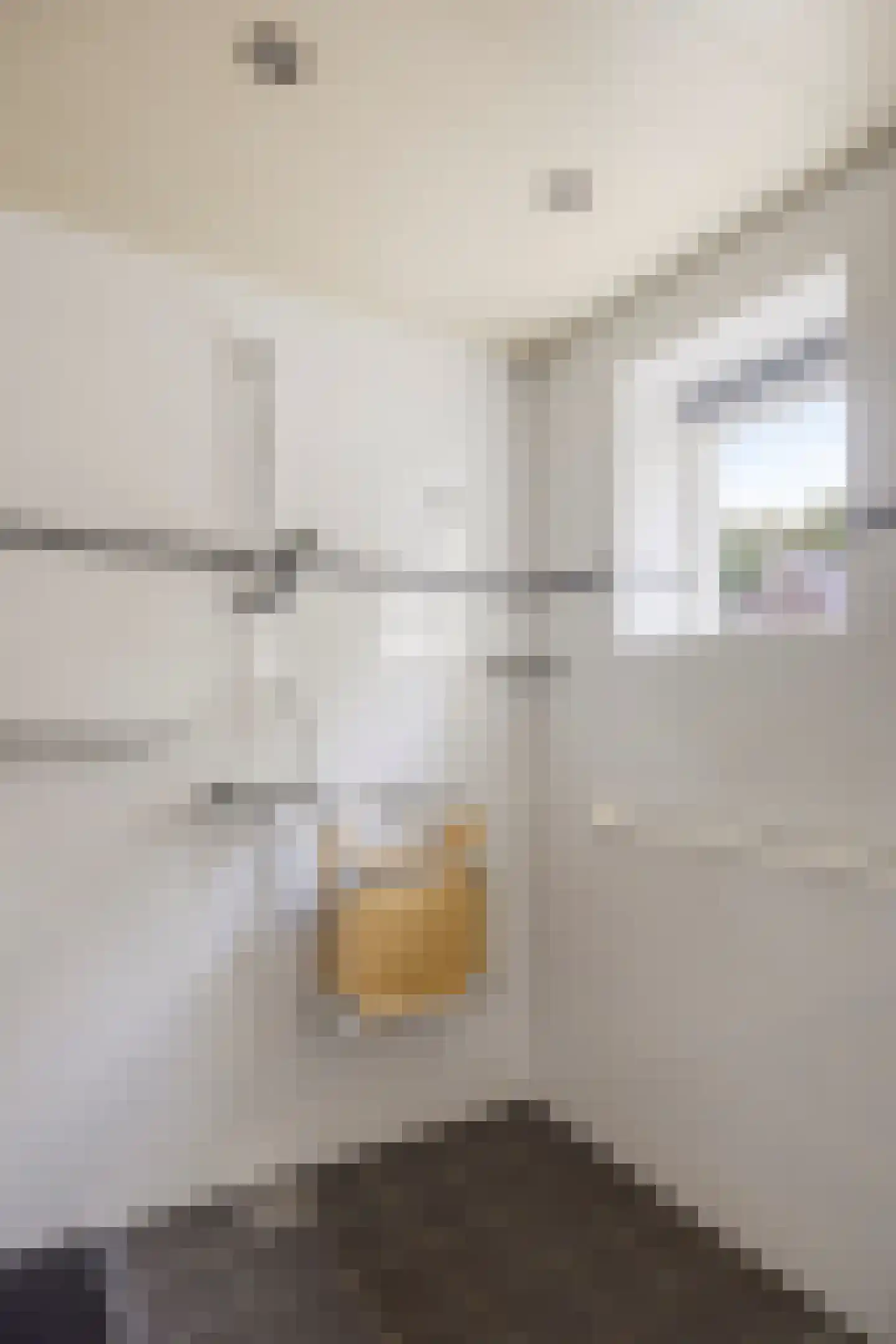 Rollestraat 10 Wapse thumbnail 21