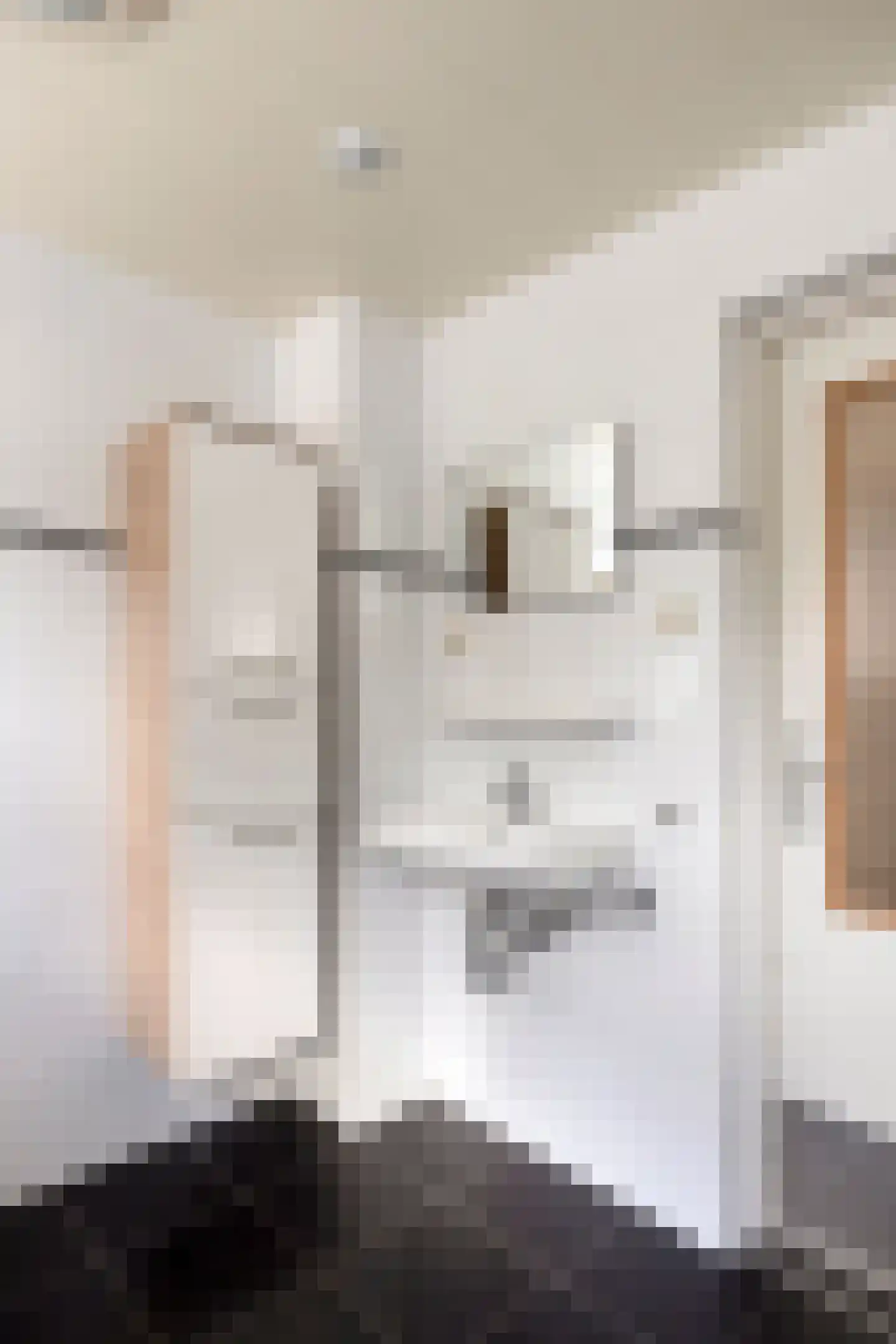 Rollestraat 10 Wapse thumbnail 22