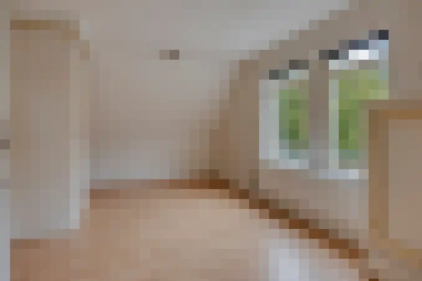 Rollestraat 10 Wapse thumbnail 25