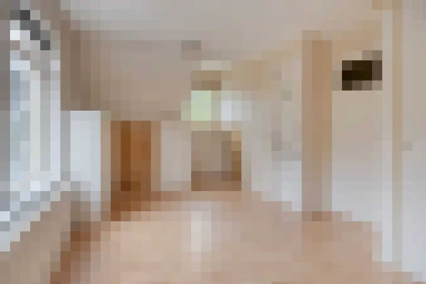 Rollestraat 10 Wapse thumbnail 26