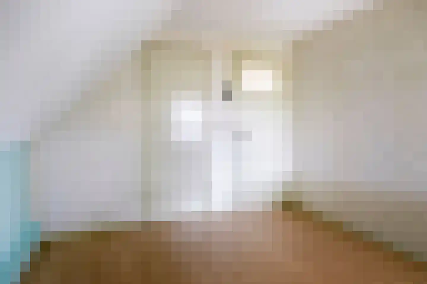 Rollestraat 10 Wapse thumbnail 28