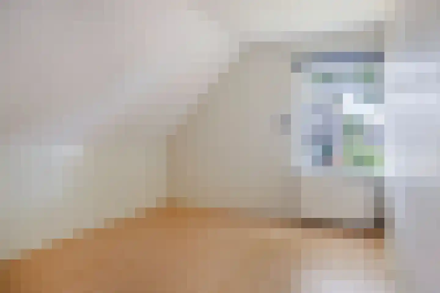 Rollestraat 10 Wapse thumbnail 29