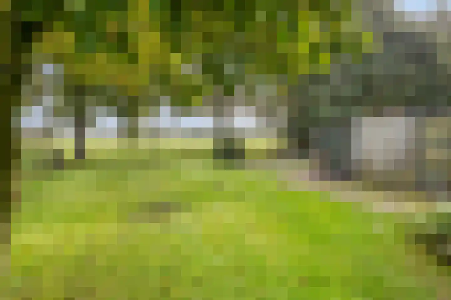 Rollestraat 10 Wapse thumbnail 33
