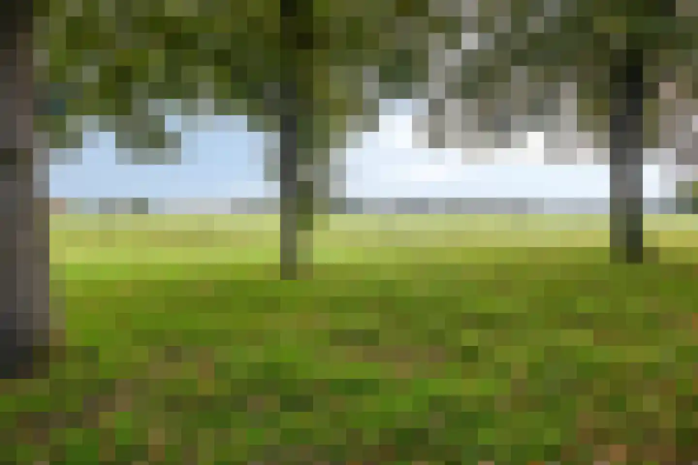 Rollestraat 10 Wapse thumbnail 34