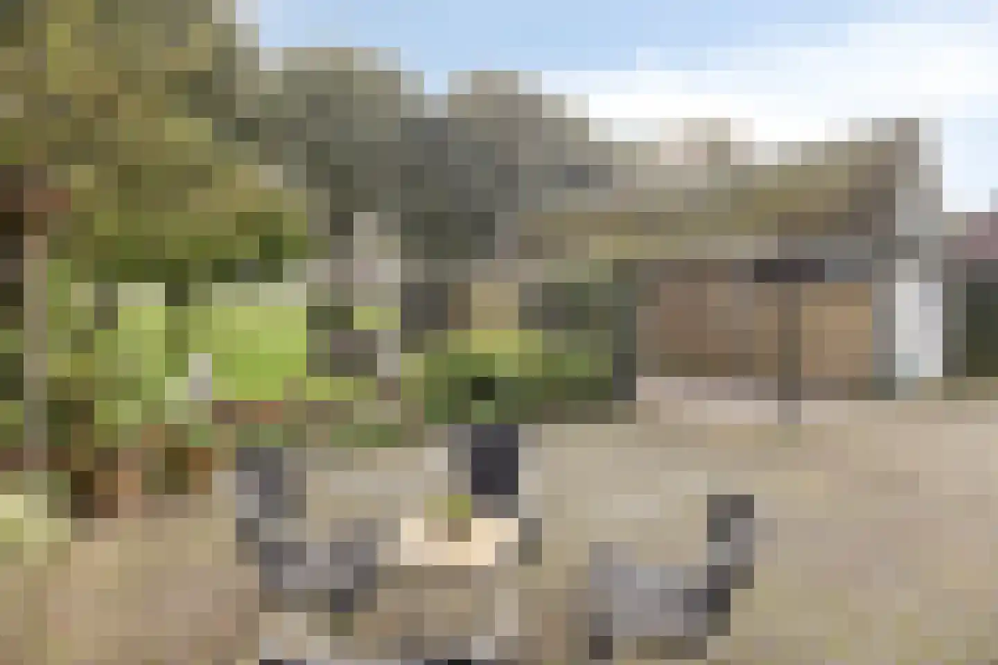 Rollestraat 10 Wapse thumbnail 38