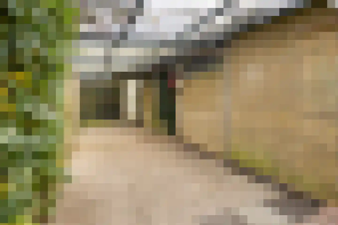 Rollestraat 10 Wapse thumbnail 39