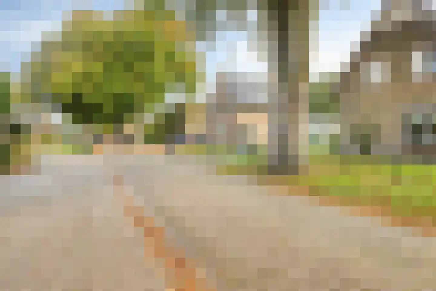 Rollestraat 10 Wapse thumbnail 42