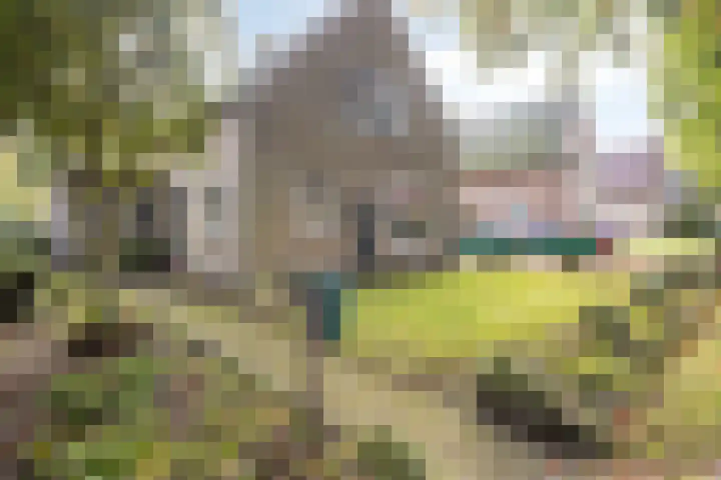 Rollestraat 10 Wapse thumbnail 44