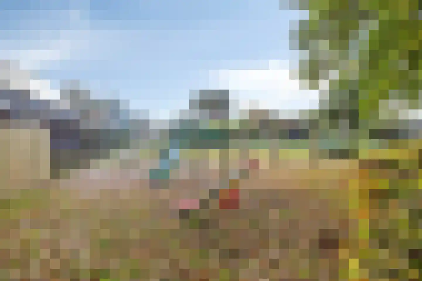 Rollestraat 10 Wapse thumbnail 46