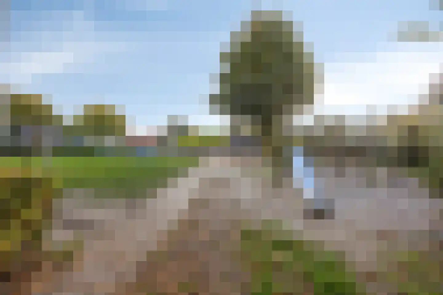 Rollestraat 10 Wapse thumbnail 47