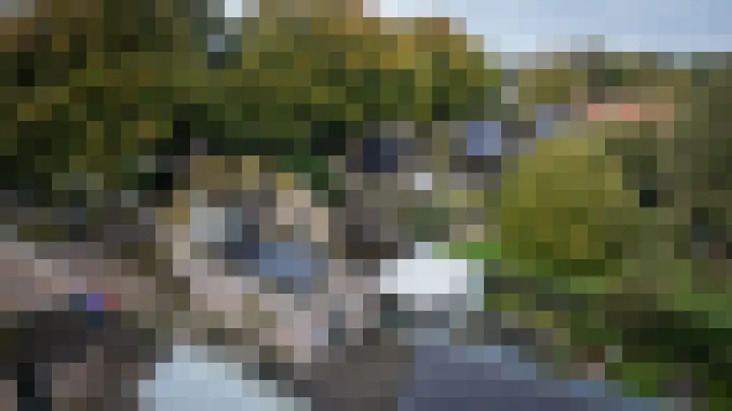 Rollestraat 10 Wapse thumbnail 49