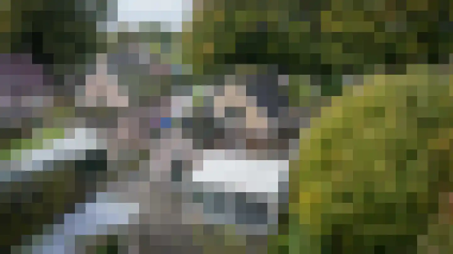Rollestraat 10 Wapse thumbnail 50
