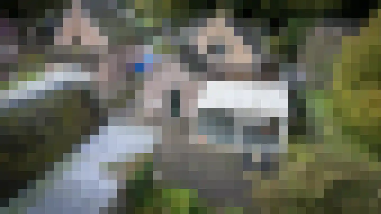 Rollestraat 10 Wapse thumbnail 51
