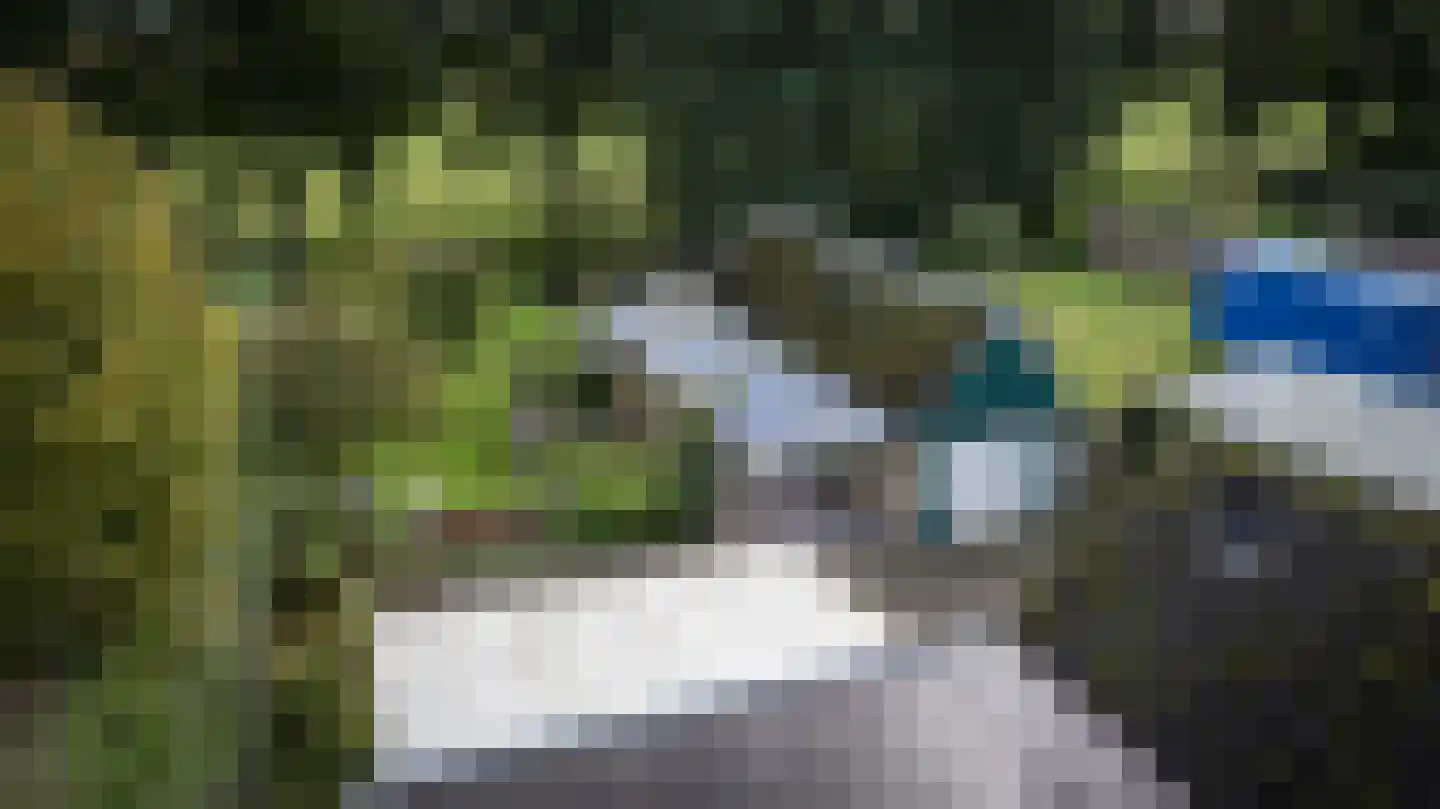 Rollestraat 10 Wapse thumbnail 52