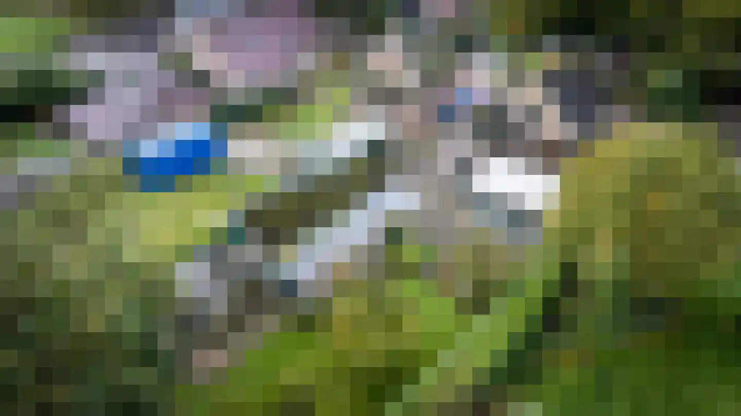 Rollestraat 10 Wapse thumbnail 53