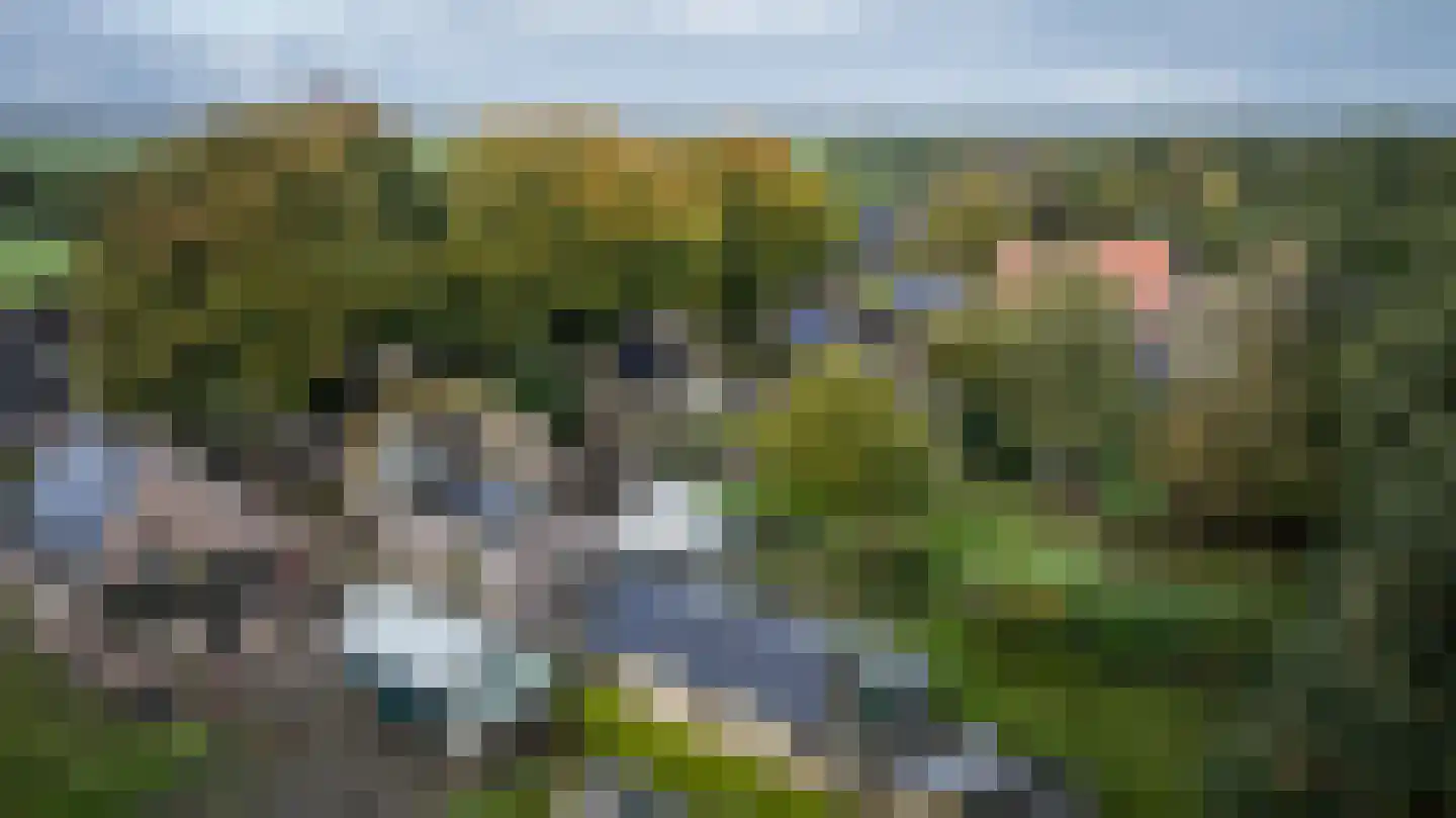 Rollestraat 10 Wapse thumbnail 54