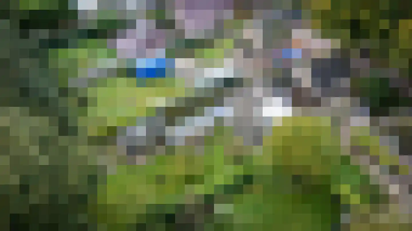 Rollestraat 10 Wapse thumbnail 55