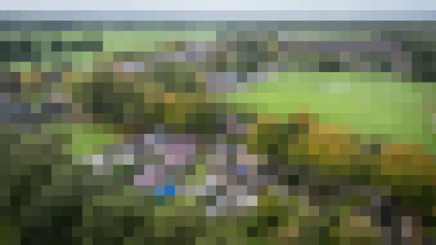 Rollestraat 10 Wapse thumbnail 56