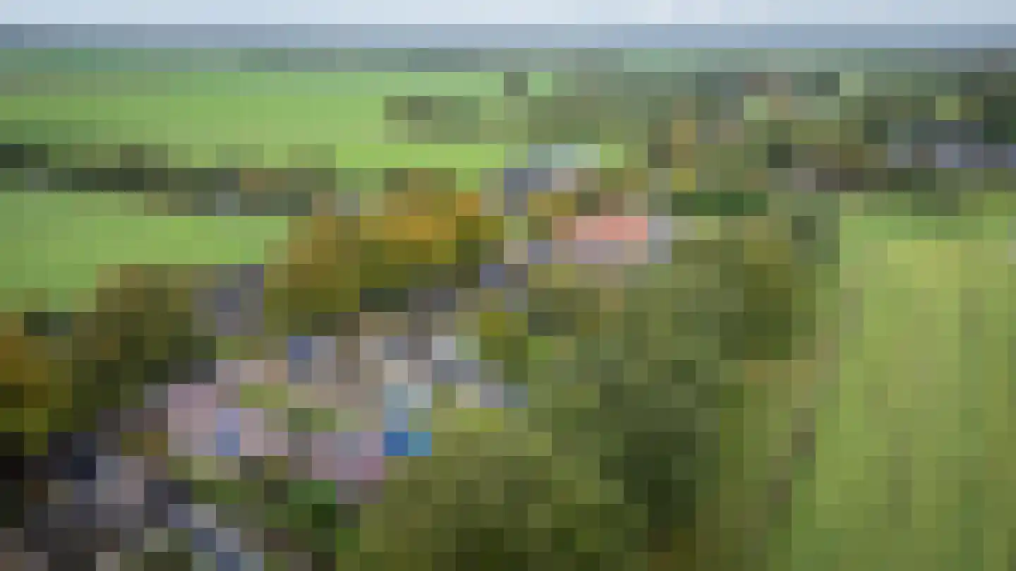 Rollestraat 10 Wapse thumbnail 57